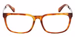 Havana/Havana / Matte Dark Ruthenium