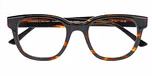 HAVANA (BROWN) DARK SHINY