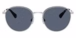 Brushed Silver / Dark Blue