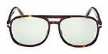 DARK HAVANA / GREEN