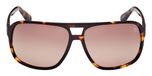 DARK HAVANA / DARK HAVANA / GRADIENT BROWN / POLARIZED