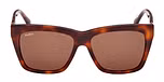 DARK HAVANA / DARK HAVANA / BROWN