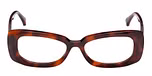 DARK HAVANA / DARK HAVANA