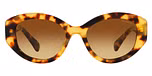 Medium Havana / Tortoise / Brown Gradient
