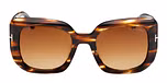 DARK HAVANA / DARK HAVANA / GRADIENT BROWN