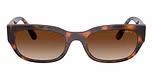 Total Dark Havana / Brown / Gradient Brown