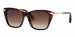 SHINY DARK HAVANA / BROWN GRADIENT BROWN
