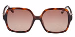 DARK HAVANA / DARK HAVANA / BROWN POLARIZED