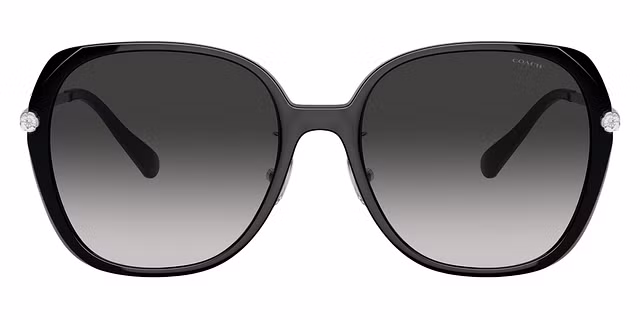 COACH - HC8403D