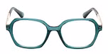 SHINY DARK GREEN / SHINY DARK GREEN