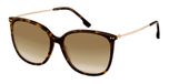 havana / gold / brown / mirror / gold / anti-reflective