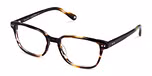 BROWN TORT