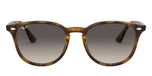 LIGHT HAVANA / havana / light grey gradient dark grey