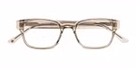 GREY-BROWN LIGHT TRANSPARENT