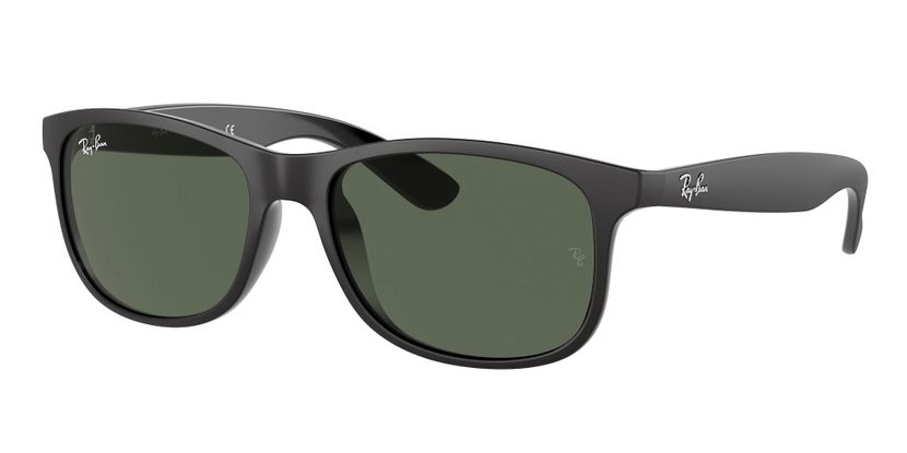 Ray-Ban RB4202 ANDY