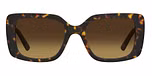 HAVANA (BROWN SHADED ORANGE GRADIENT)