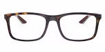 Matte Havana / Tortoise