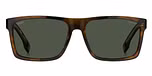BROWN HORN (GREEN POLARIZED) / ECO ACETATE