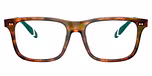 Shiny Brown Tortoise