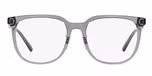Shiny Transparent Grey