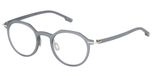 LIGHT GREY/SILVER
