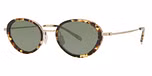 Tortoise / polarized