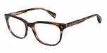 GLOSS CRYSTAL BROWN HORN