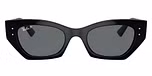 Black / Dark Grey polarized