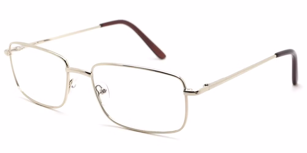OL010