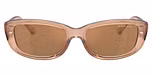 Brown Transparent / Brown 