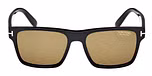 SHINY BLACK / SHINY BLACK / BROWN POLARIZED