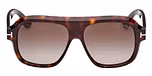 DARK HAVANA / DARK HAVANA / GRADIENT ROVIEX