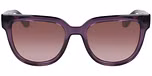 TRANSPARENT PLUM