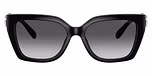 Black / Grey Gradient Polarized