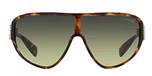 Dark Tortoise / Light Green Gradient