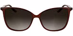 TRANSPARENT BURGUNDY