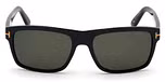 SHINY BLACK / SMOKE POLARIZED