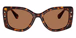 Havana / Tortoise / Dark Brown