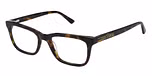 TORTOISESHELL