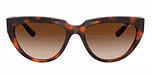 Total Dark Havana / Brown / Gradient Dark Brown