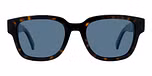 Tortoise / Blue Polar / Polarized