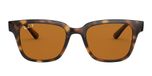 LIGHT HAVANA / havana / polarized brown