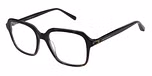 TORTOISESHELL