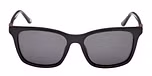 BLACK HORN / SHINY BLACK / SMOKE POLARIZED