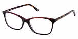 Black/Tortoise