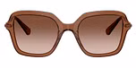 Transparent Brown / Brown / Brown Gradient