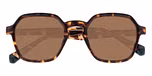 Dark Tortoiseshell / Brown Lenses