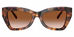 Jet Set Tortoise / Brown Gradient