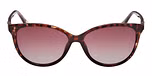 DARK HAVANA / DARK HAVANA / BROWN POLARIZED