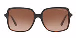 DARK TORTOISE / smoke gradient